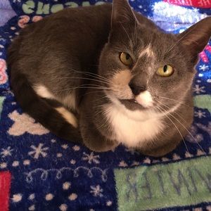 Meet your Posher, Becca